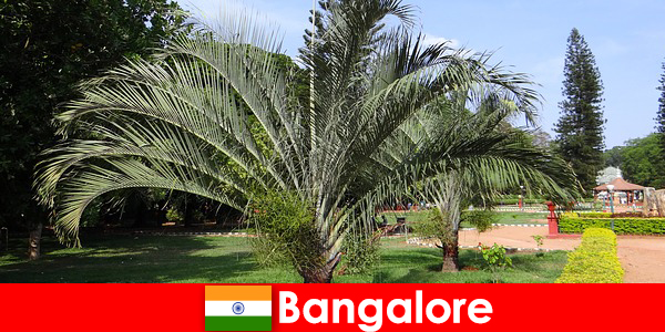Bangalore behageligt klima hele året rundt for hver udlænding værd en tur