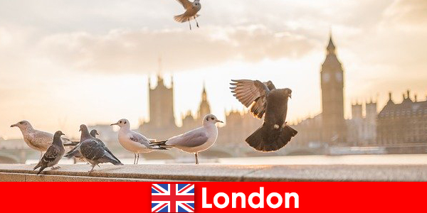 Sehenswerte Orte in London für Internationale Fremdstämmige Besucher