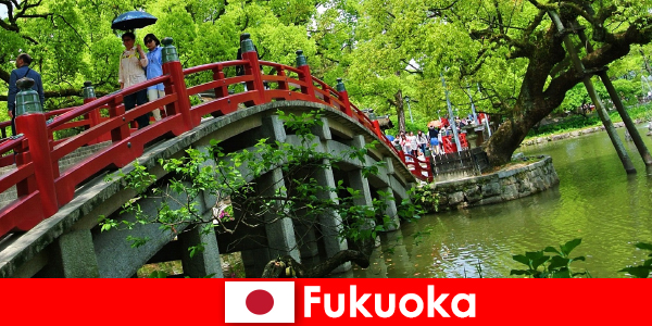 Fukuoka ist für Einwanderer eine entspannte und internationale Atmosphäre mit hoher Lebensqualität