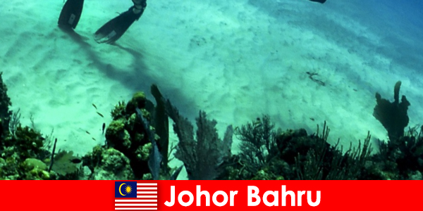 Eventyraktiviteter i Johor Bahru Dykning, klatring, vandreture og meget mere
