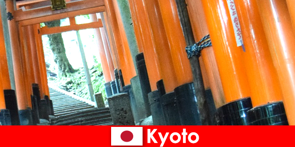 Kyoto das Fischerdorf in Japan bietet verschiedene UNESCO-Attraktionen