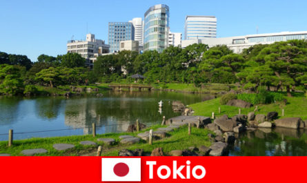 Alte und neue Traditionen in Tokio Japan genießen Touristen hautnah