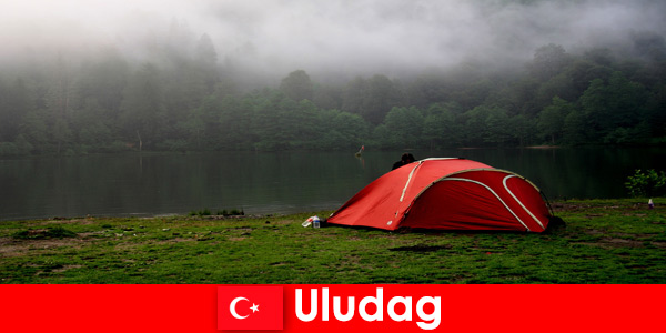 Campingferie med familie i skovene i Uludag Tyrkiet