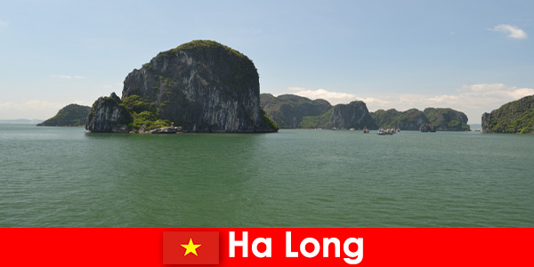 Εκδρομές με σκάφος για παραθεριστές στους γίγαντες των βράχων στο Ha Long Vietnam