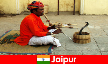 In Jaipur Indien erleben Urlauber Schlangentänze und Unterhaltung in den belebten Straßen