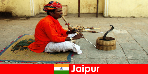 In Jaipur Indien erleben Urlauber Schlangentänze und Unterhaltung in den belebten Straßen