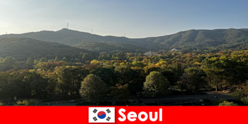Beliebte Pauschalreisen für Gruppen nach Seoul Südkorea