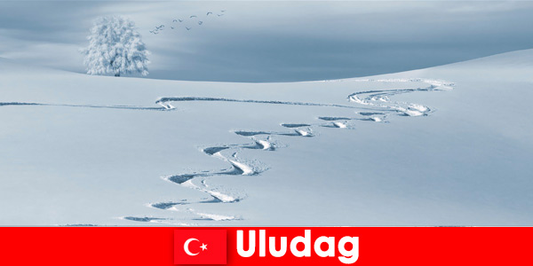 Κάντε κράτηση Uludag Τουρκία ένα ταξίδι διακοπών με την οικογένεια στο όμορφο χιονοδρομικό κέντρο