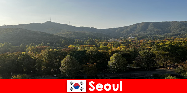 Populære gruppe feriepakker til Seoul Sydkorea