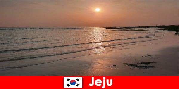 Drømmedestination for bryllupper og gæster fra udlandet i Jeju Sydkorea