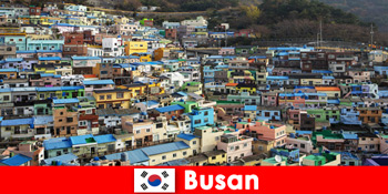 Auslandsreise nach Busan Südkorea mit Esskultur an jeder Ecke für wenig Geld