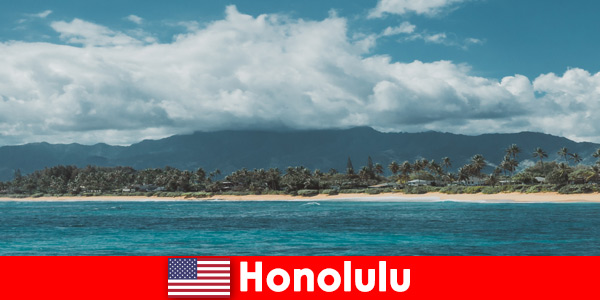 Tauchreisen für Sporturlauber in Honolulu Vereinigte Staaten ein einzigartiges Erlebnis