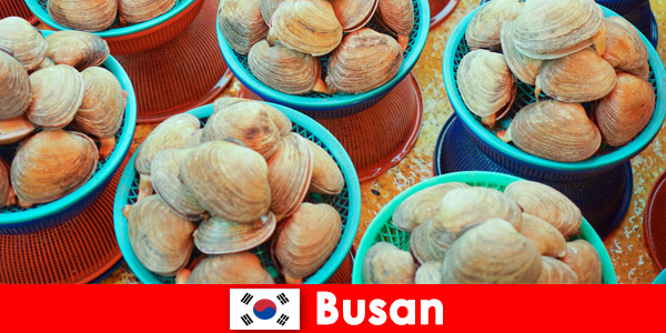 बुसान दक्षिण कोरिया में, बाजार में दैनिक ताजा समुद्री भोजन है