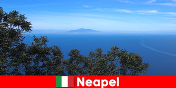 Fremde lieben die Lebensfreude und Gastfreundlichkeit in Neapel Italien