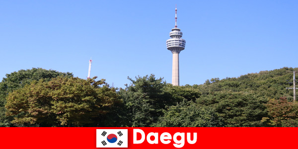 Den smukke by i Daegu Sydkorea elsker turister fra hele verden