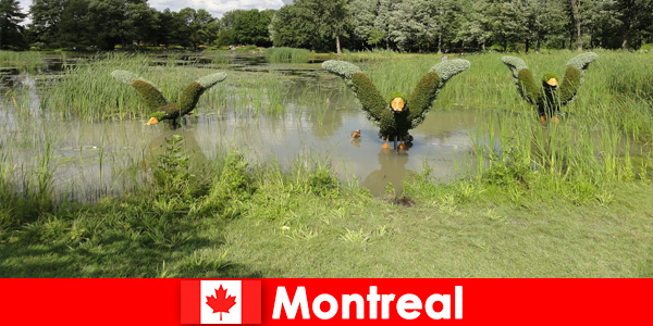 Fedezze fel a természetet és a ritka állatokat Montrealban Kanadában