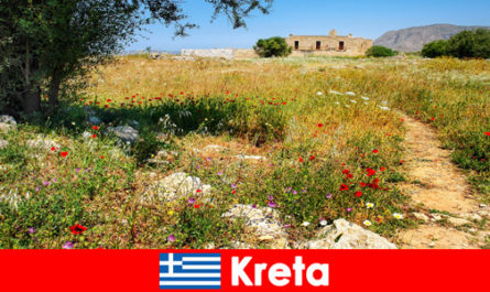 Gesundes Mediterranes Essen mit Naturerlebnis erwarten Urlauber in Kreta Griechenland