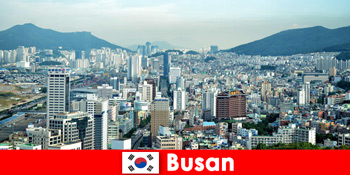 Busan Südkorea wird immer beliebter bei aktiven Bergtouristen