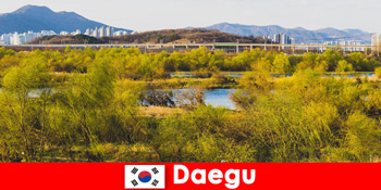 Top Tipps für unabhängige Reisende in Daegu in Südkorea