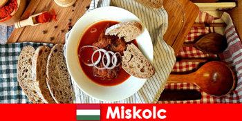 Heimische Lokalitäten und Kultur genießen Gäste in Miskolc Ungarn