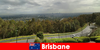 Tolle Eindrücke ob gesund oder ungesund in Brisbane Australien als Fremde sammeln