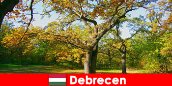 Kururlaub für Rentner in Debrecen Ungarn mit viel Herz