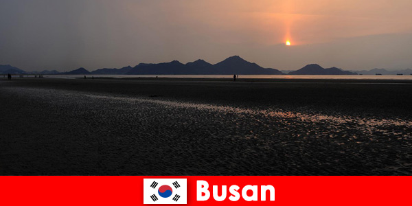 Unberührte Natur und viele Aktivitäten in Busan Südkorea erleben