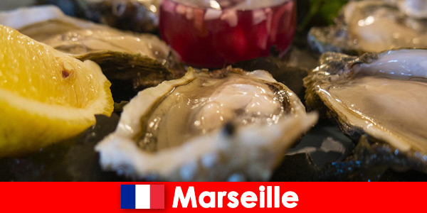 Nyd friskfanget fisk og skaldyr og den specielle flair i Marseille Frankrig