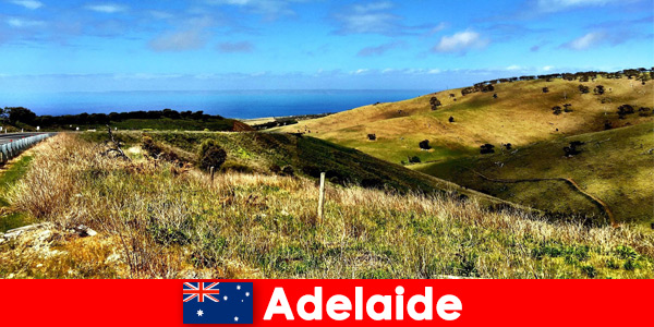 度假者长途跋涉到澳大利亚阿德莱德的美妙自然世界