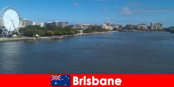 Tolle Erlebnisse in Brisbane Australien als Fremde genießen
