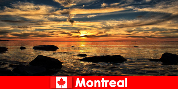 海滩海和许多自然体验游客在加拿大蒙特利尔