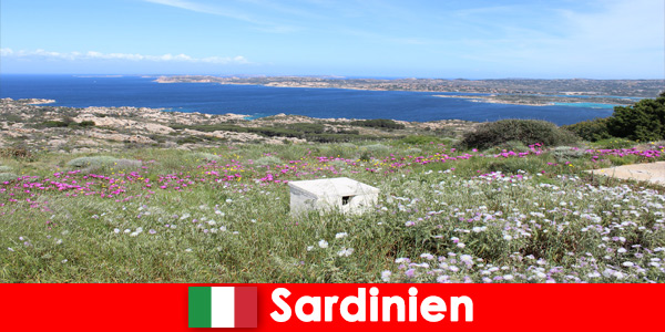 在意大利撒丁岛的户外活动中为大自然爱好者度假