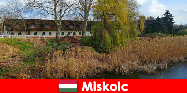 Порівняйте ціни на готелі та проживання в Мішкольці Угорщина варто порівняти