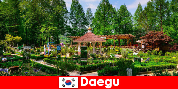 दक्षिण कोरिया में Daegu विविधता और कई स्थलों के साथ शहर