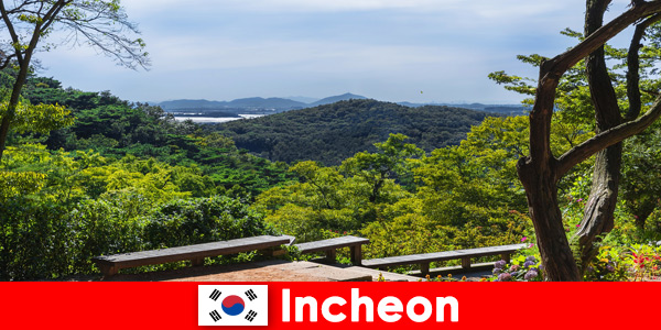 इंचियोन दक्षिण कोरिया में शहर और प्रकृति एक दूसरे के साथ बहुत अच्छी तरह से सामंजस्य स्थापित करते हैं  