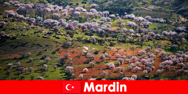 Trải nghiệm thiên nhiên hoang sơ và nhiều động vật ngoài trời bản địa ở Mardin Thổ Nhĩ Kỳ
