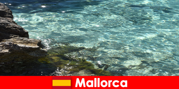 Tempat yang mendambakan semua pelawat ialah Mallorca di Sepanyol