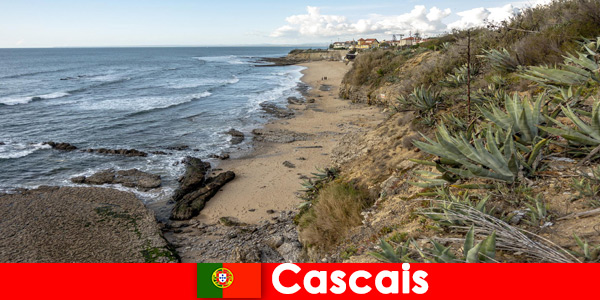 Hosszú séták és élvezze a környéket teljes mértékben Cascaisban Portugáliában