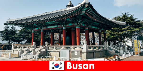 한국 부산의 장식 된 사원은 항상 볼 가치가 있습니다.
