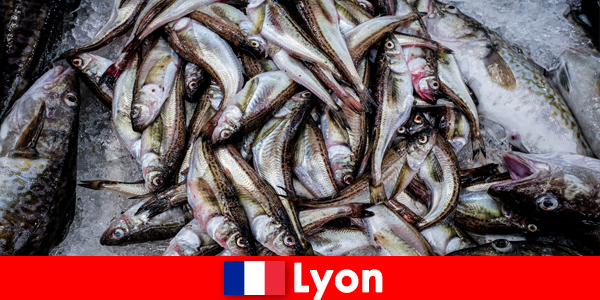 Ikan segar dan makanan laut yang disiapkan dengan sempurna untuk dinikmati di Lyon