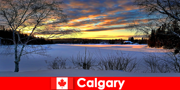 कैलगरी में छुट्टियों के लिए विशेष वातावरण के साथ सर्दियों के परिदृश्य का आनंद लें